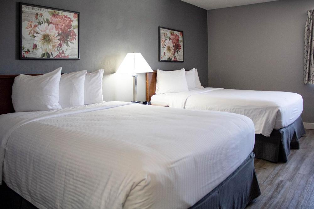 Queen Room with Two Queen Beds - Non-Smoking interior